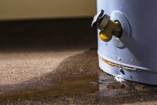 Best Water damage contractors near me  in Fremont, CA