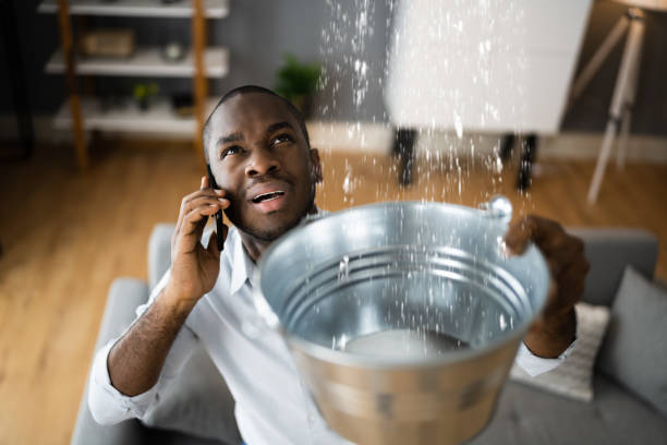 Best Flood restoration services  in Fremont, CA