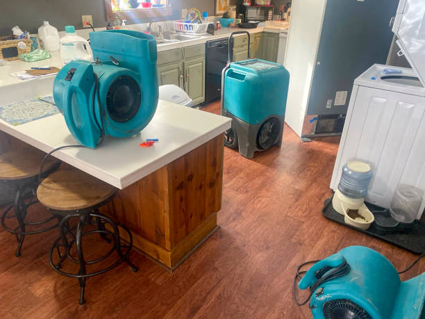 Best Professional water damage repair  in Fremont, CA