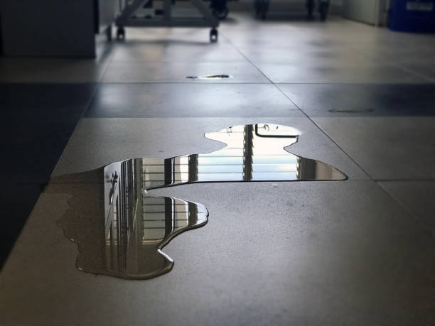 Best Water damage cleanup near me  in Fremont, CA