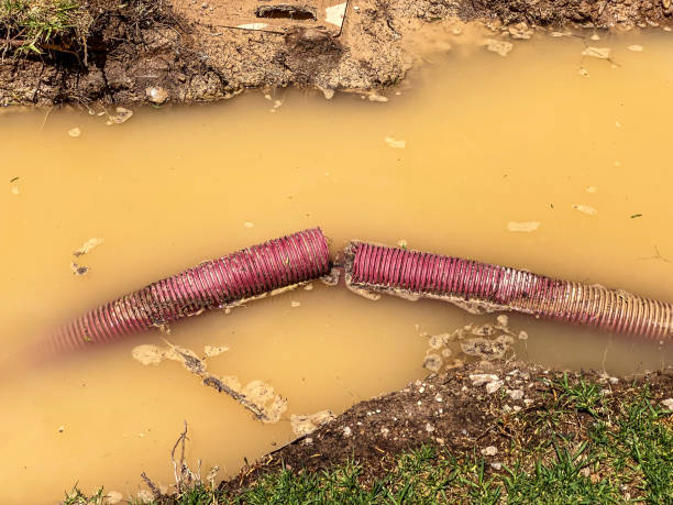 Best Flood damage cleanup  in Fremont, CA